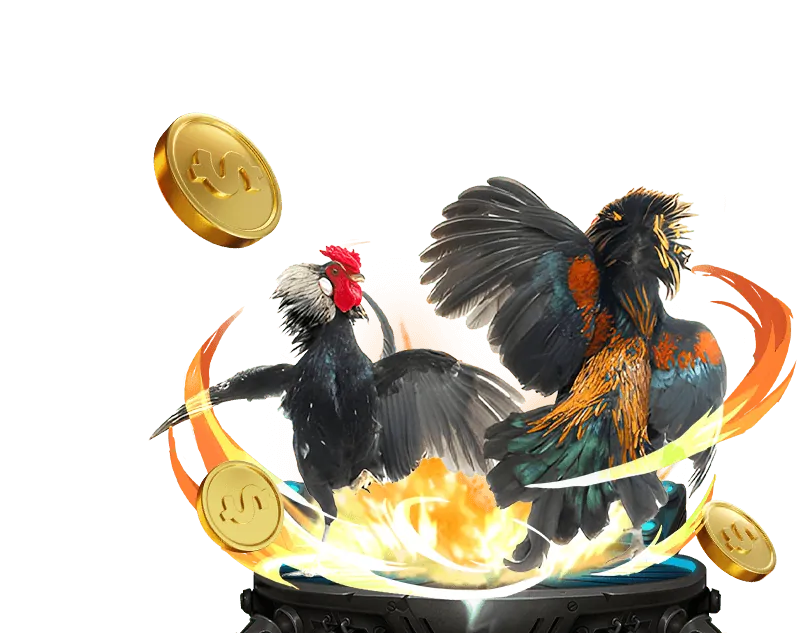 Khuyến Mãi Đặc Biệt Cho Đá Gà Trực Tiếp Cựa Dao